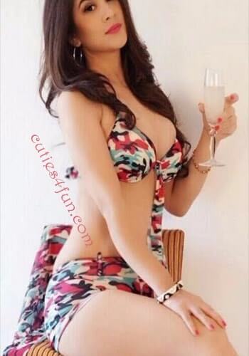malviya nagar jaipur escort