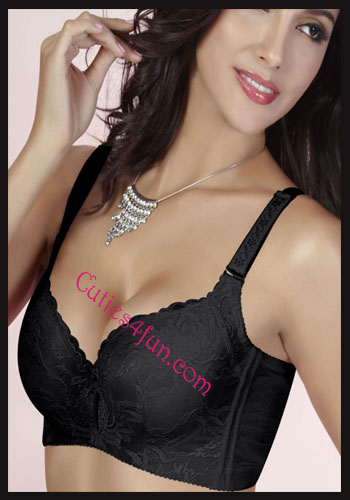 santa cruz airhostess escorts